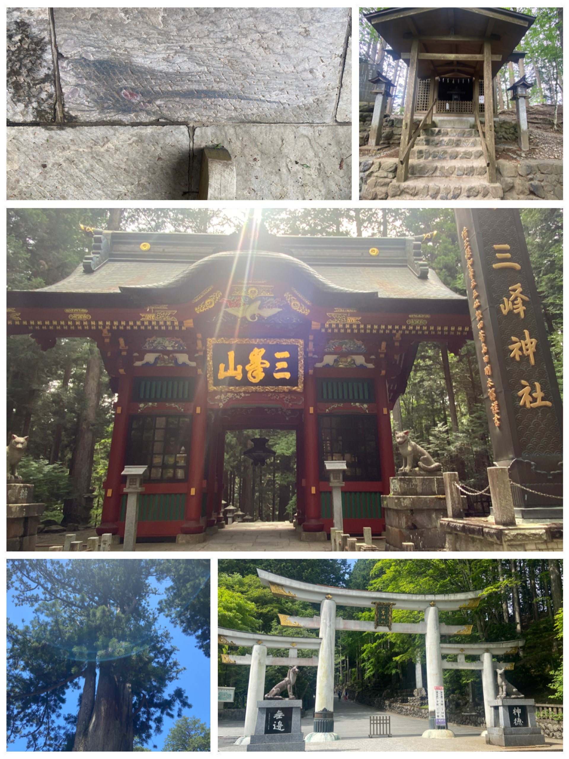 氣をもらって運気爆上げ！ -三峯神社- - ヘ ル マ ン